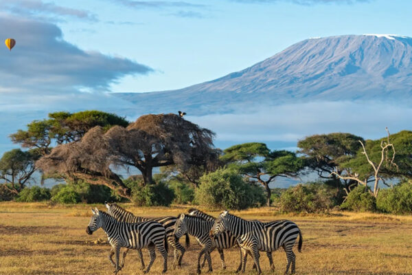 6 Days Kenya Safari Package